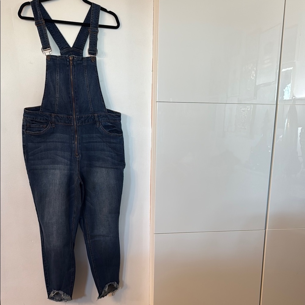 NWOT Women's Denim Overalls